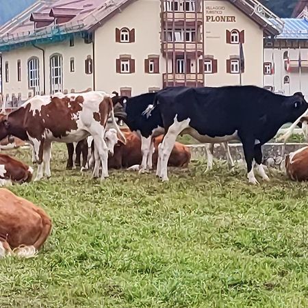 Villaggio Turistico Ploner Appartaments Carbonin Esterno foto